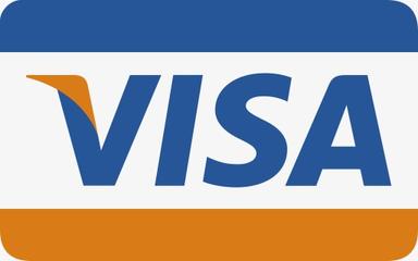 pay with visa card